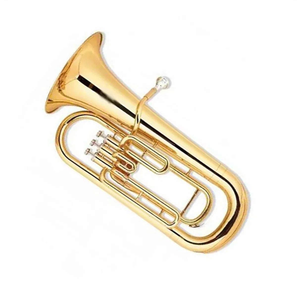 Débutants euphonium Instrument À Cuivres Euphonium Pour Groupe