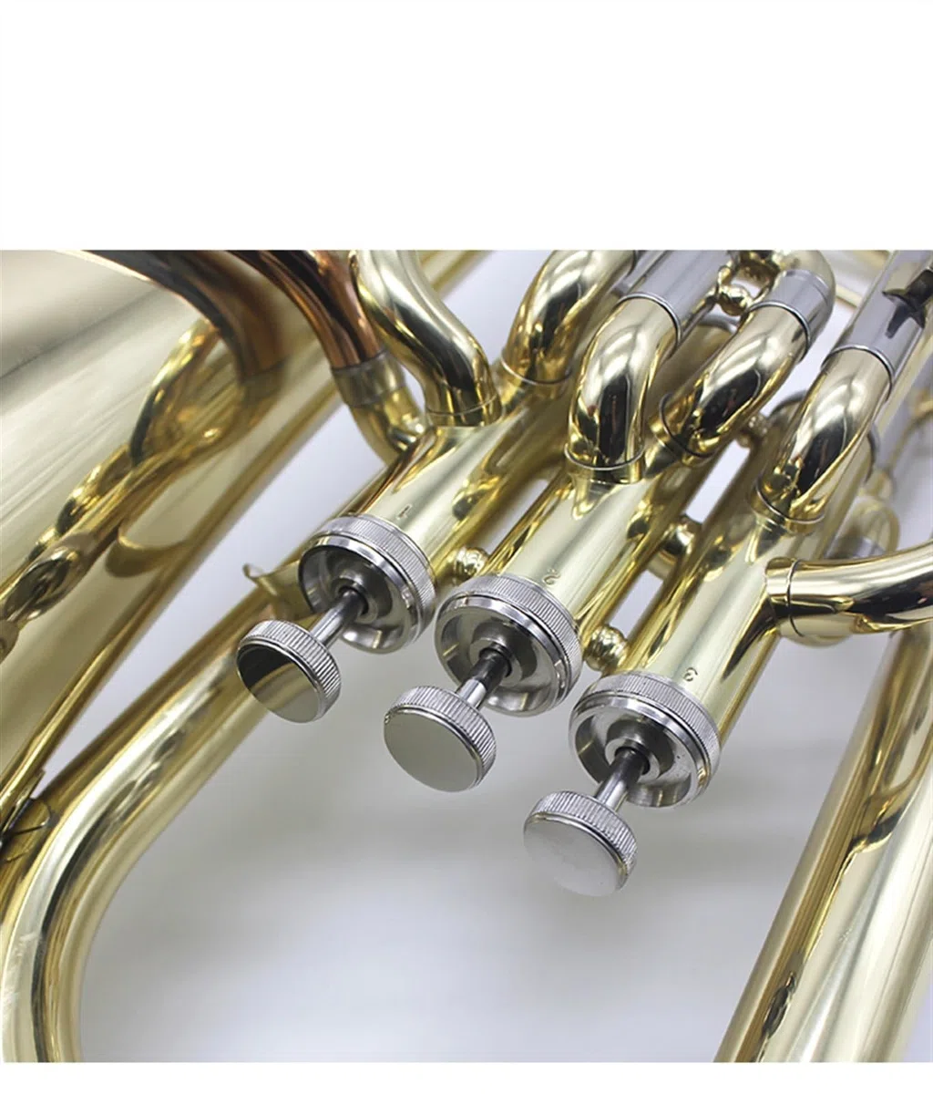 Débutants euphonium Cuivre Euphonium À Touches Verticales