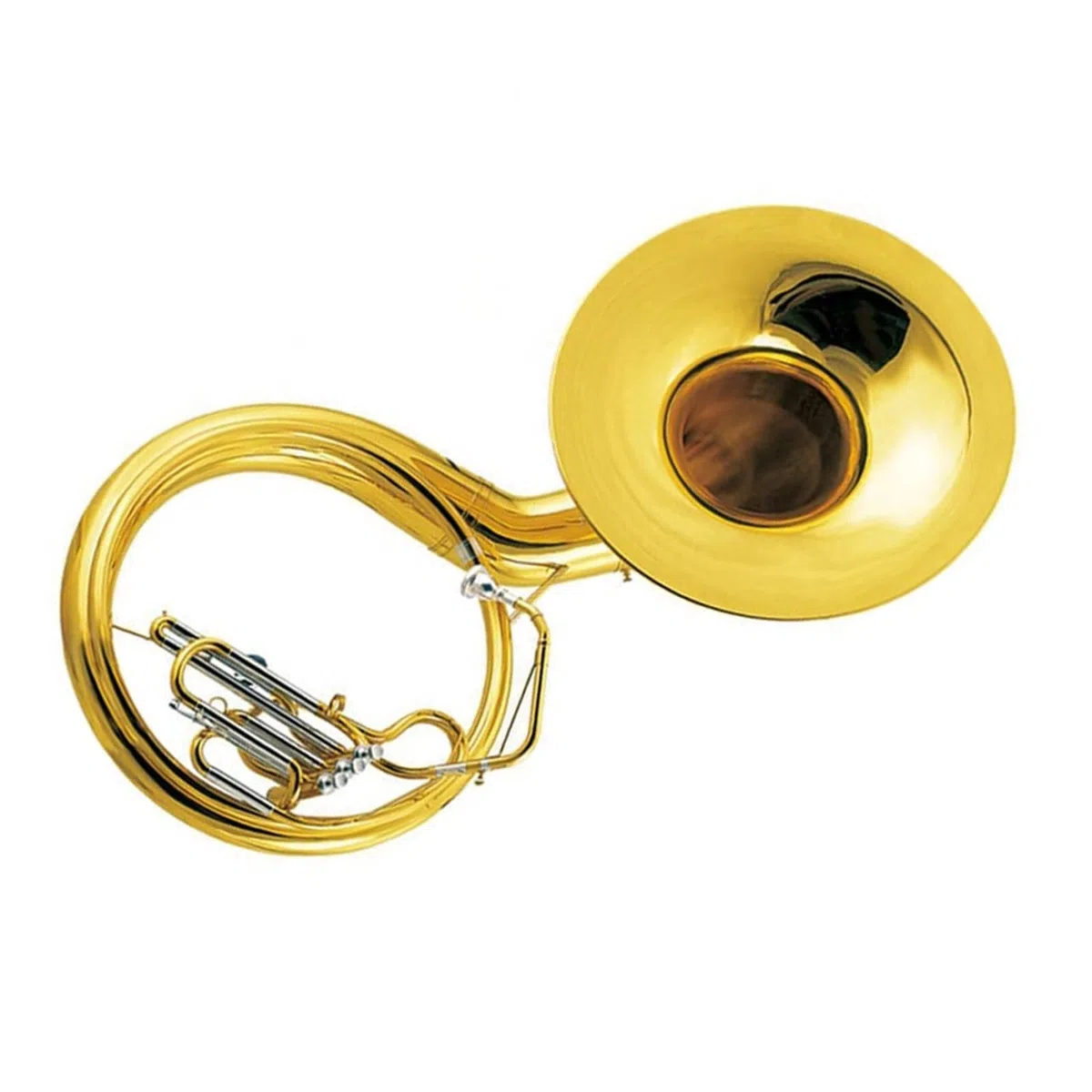 L'euphonium Est Un Instrument À Vent De Qualité Professionnelle Adapté Aux Débutants Et Aux Adultes Euphonium Professionnel