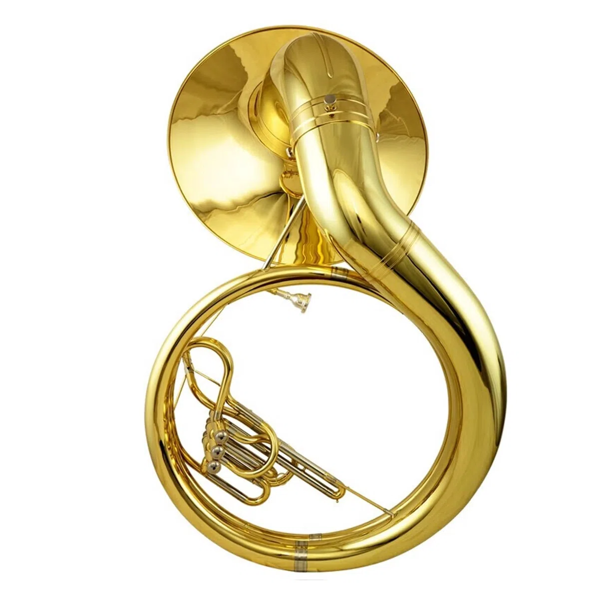 L'euphonium Est Un Instrument À Vent De Qualité Professionnelle Adapté Aux Débutants Et Aux Adultes Euphonium Professionnel