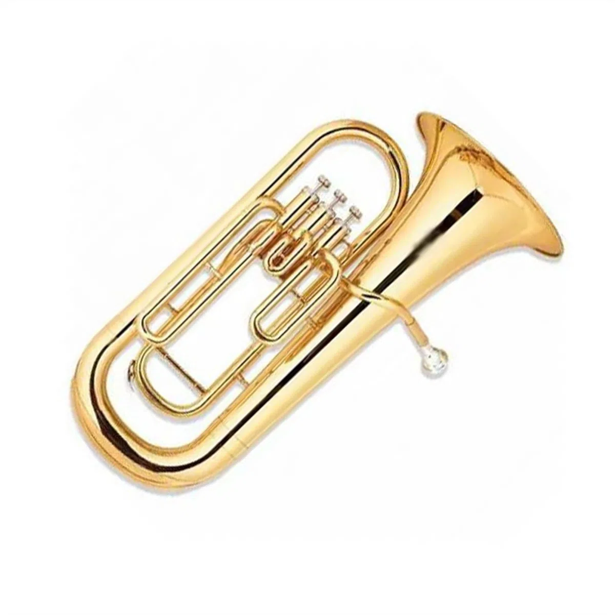 Débutants euphonium Instrument À Cuivres Euphonium Pour Groupe