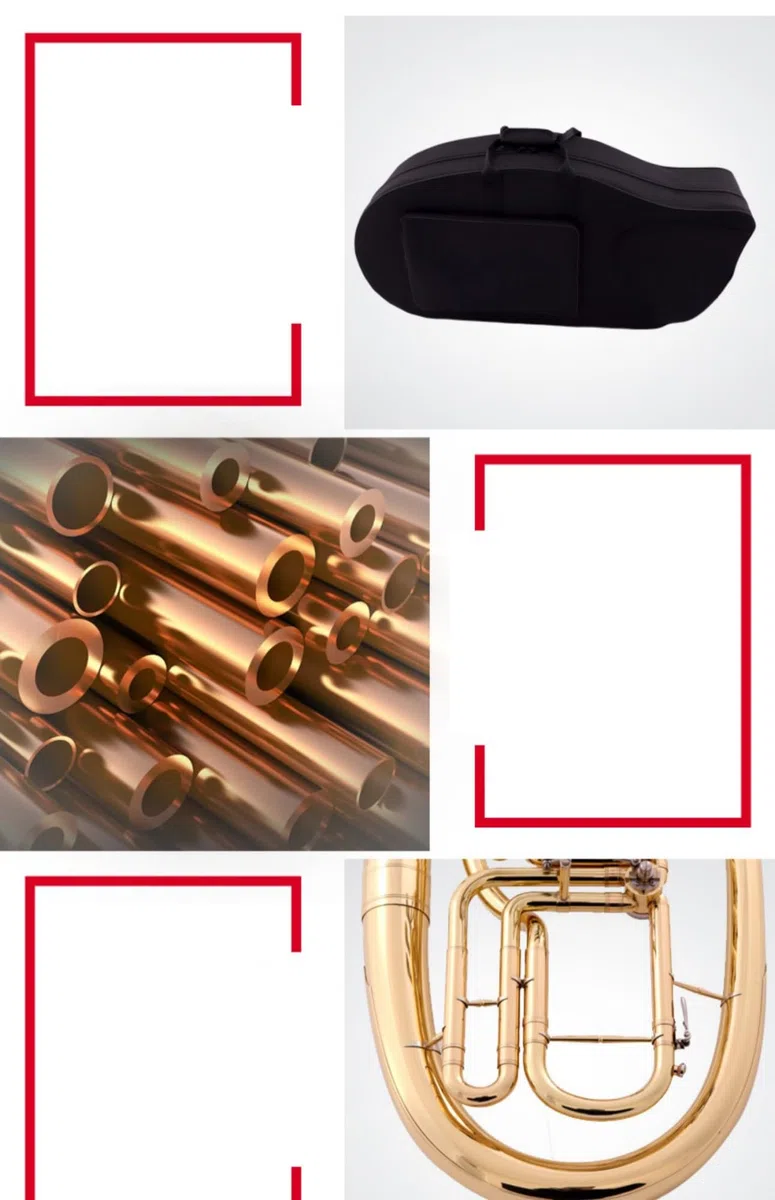 Euphonium Débutant Euphonium À Quatre Clés Plates En Si Bémol Instrument En Cuivre Pour Débutants Et Joueurs D'examen De Niveau