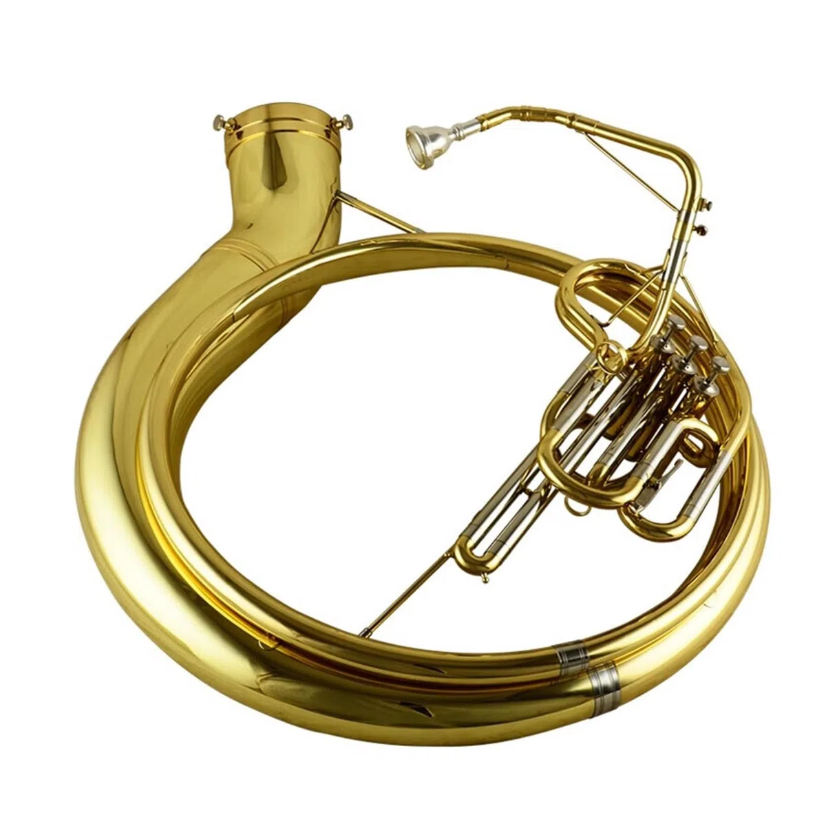 L'euphonium Est Un Instrument À Vent De Qualité Professionnelle Adapté Aux Débutants Et Aux Adultes Euphonium Professionnel